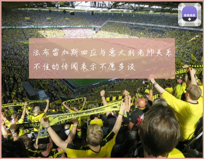 法布雷加斯回应与意大利老帅关系不佳的传闻表示不愿多谈
