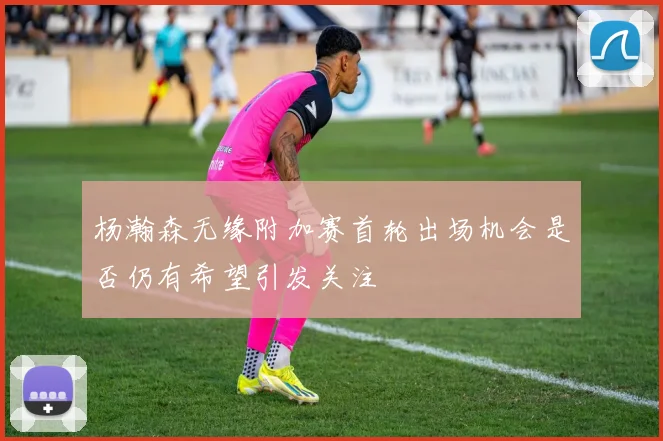 杨瀚森无缘附加赛首轮出场机会是否仍有希望引发关注